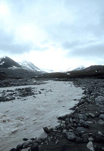 Glacier River Environmental Essence Alaskan Essences Wonderworks