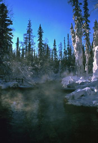 Liard Hot Springs Environmental Essence Alaska Essences Wonderworks
