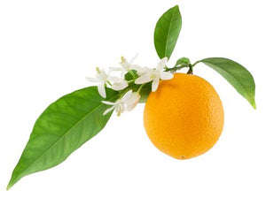 Neroli Essential Oil Wonderworks