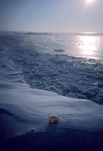Polar Ice Environmental Essence Alaskan Essences Wonderworks
