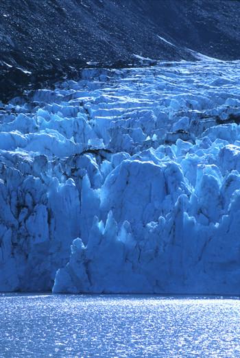Portage Glacier Environmental Essence Alaskan Essences Wonderworks
