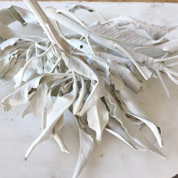 White Sage - Loose (40g)