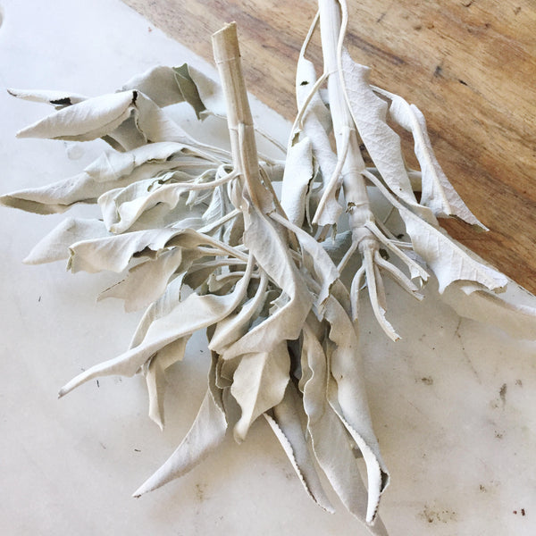 White Sage - Loose (40g)