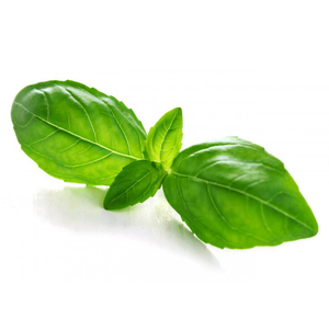 Basil Essential Oil Wonderworks