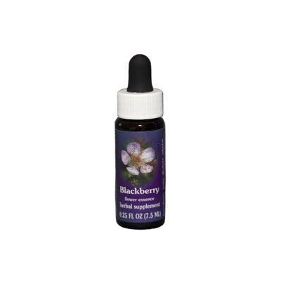 Blackberry Flower Essence