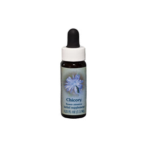 Chicory Flower Essence Healing Herbs BACH Wonderworks