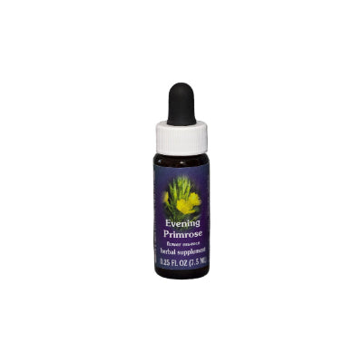 Evening Primrose Flower Essence