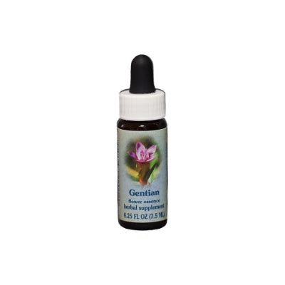 Gentain Flower Essence Healing Herbs BACH Wonderworks
