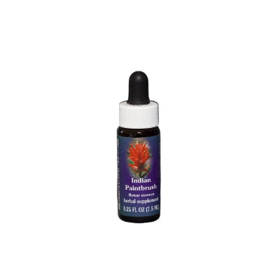 Indian Paintbrush Flower Essence