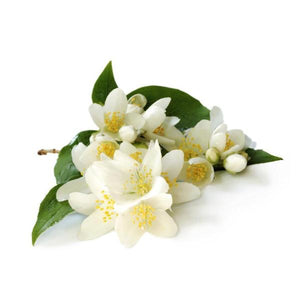 Jasmine Essential Oil Wonderworks