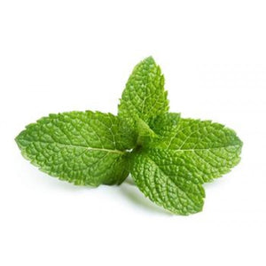 Peppermint Essential Oil Wonderworks