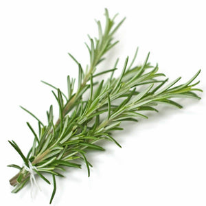 Rosemary Essential Oil Wonderworks