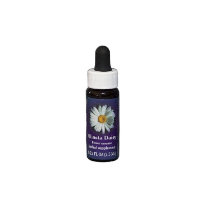 Shasta Daisy Flower Essence