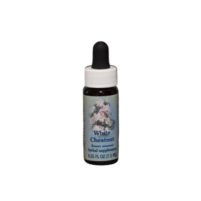 White Chestnut Flower Essence Healing Herbs BACH Wonderworks